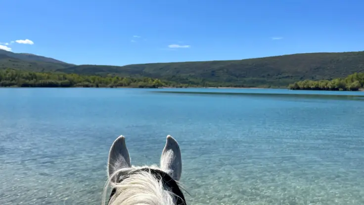 Au bord du lac