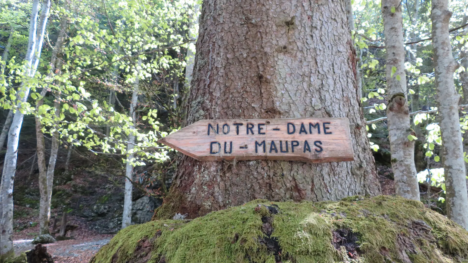 Direction la chapelle de Maupas