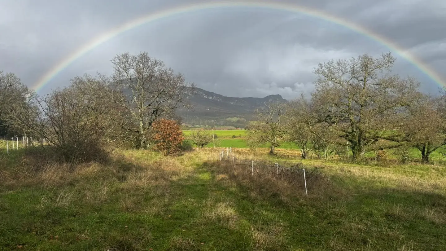 La vue depuis la propriété