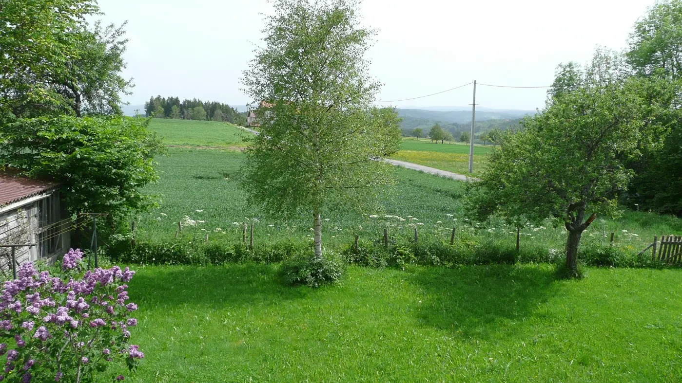 Jardin