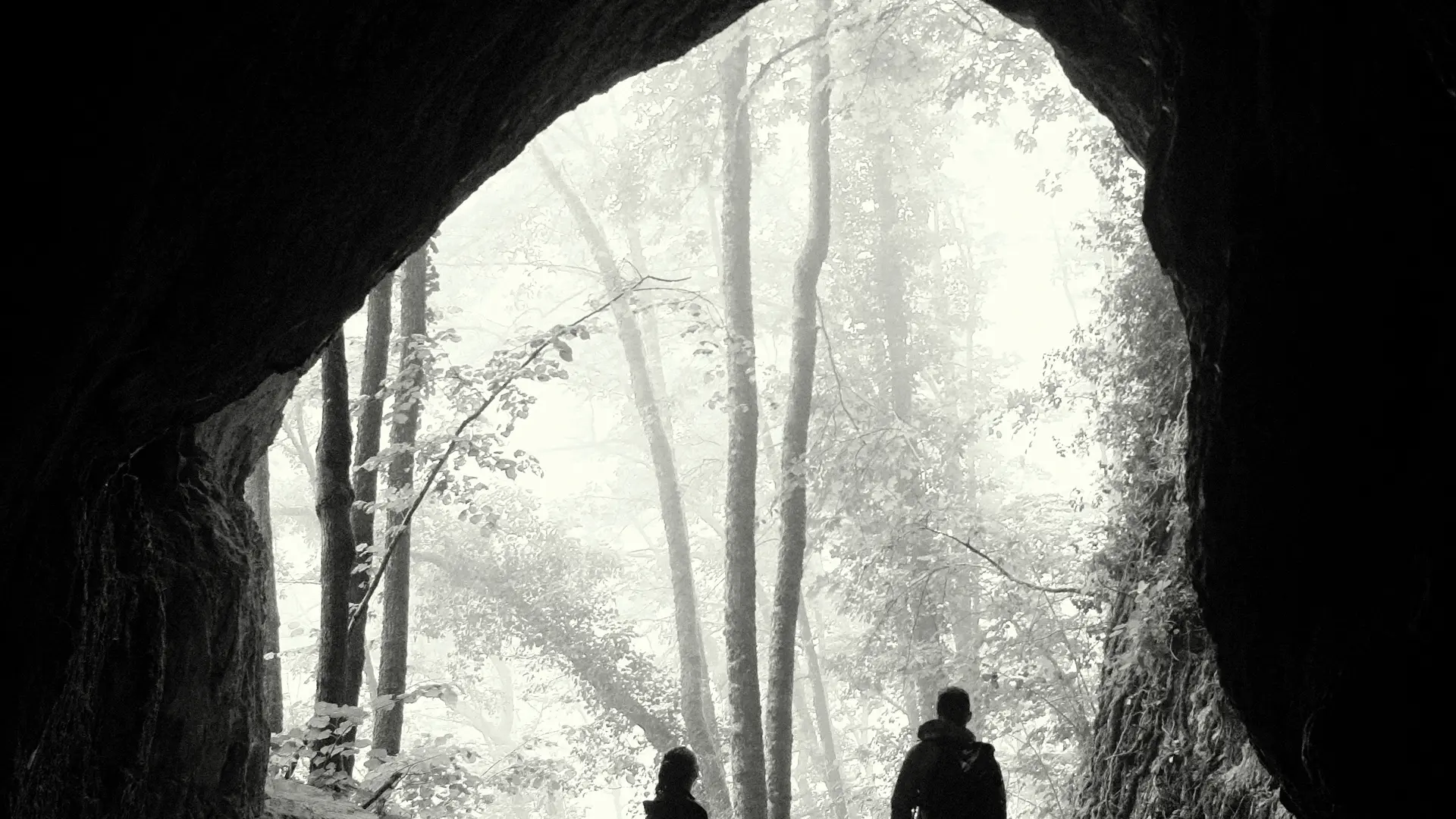 Randonnées et activités nature avec Impulsion