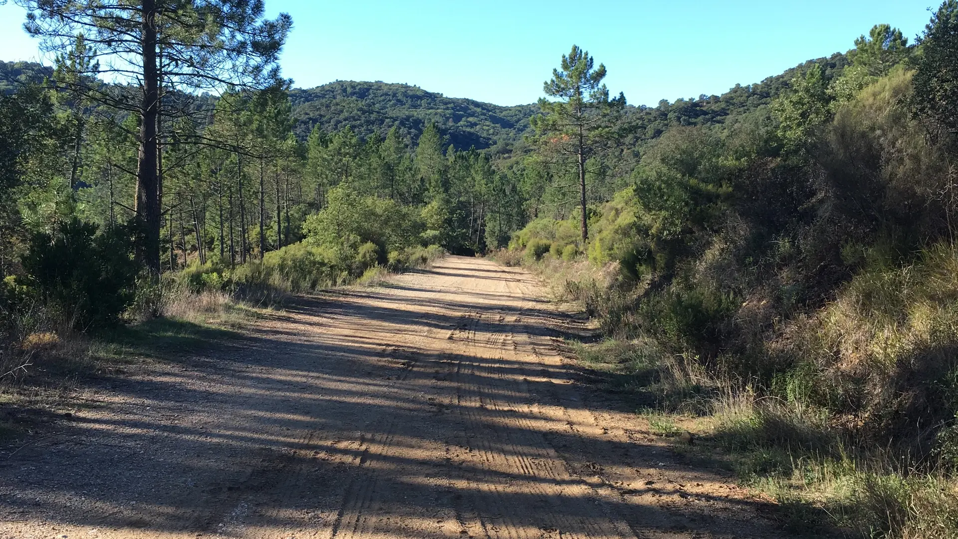 Chemin