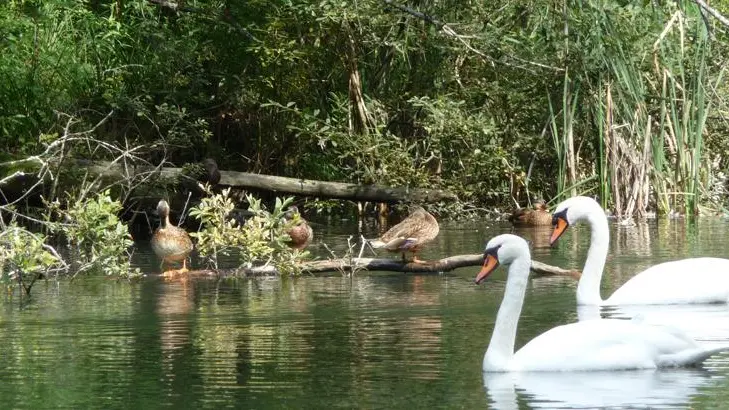 Cabane du pêcheur