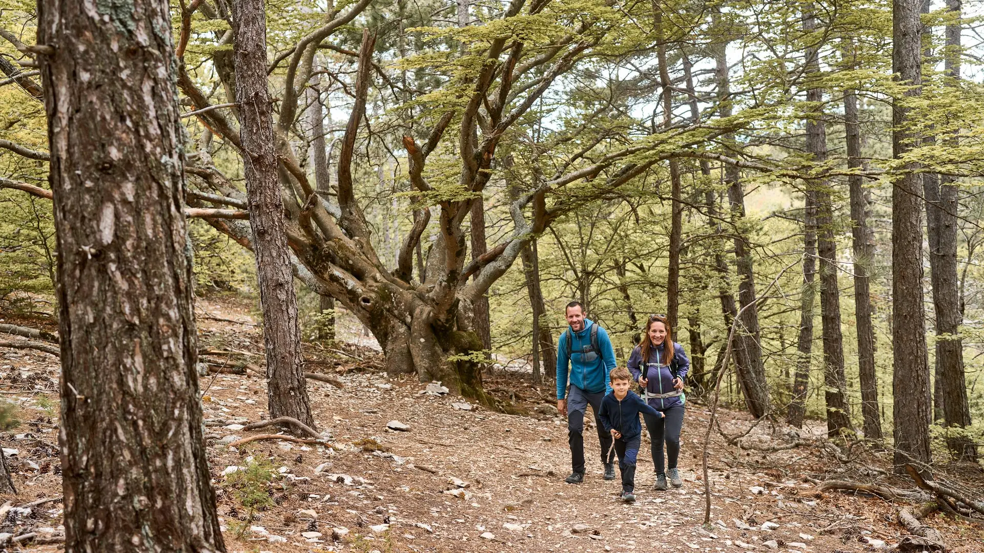 Balade familiale en forêt de Perrache