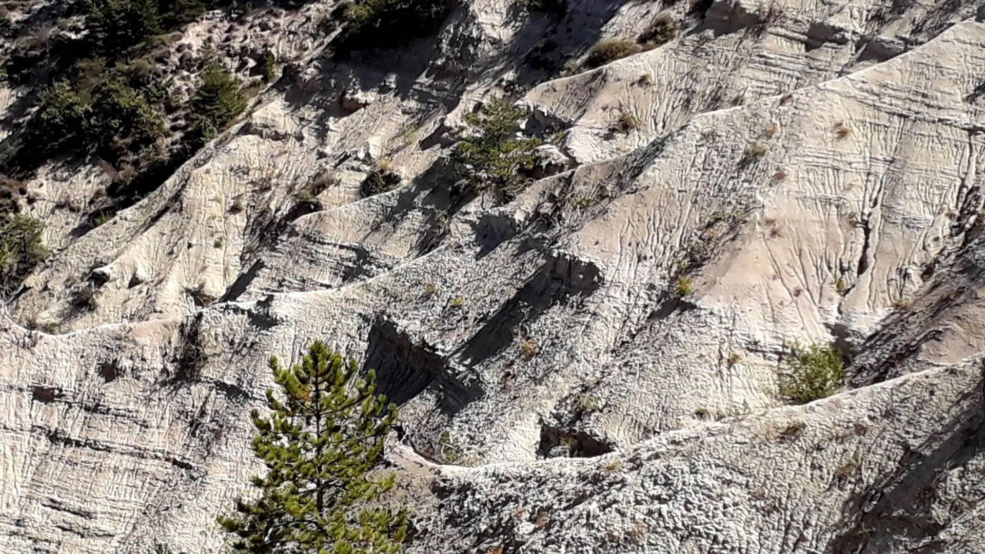 Argiles blanches sableuses