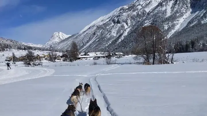 Balade en chiens en traineau - Clarée - Val-des-Prés