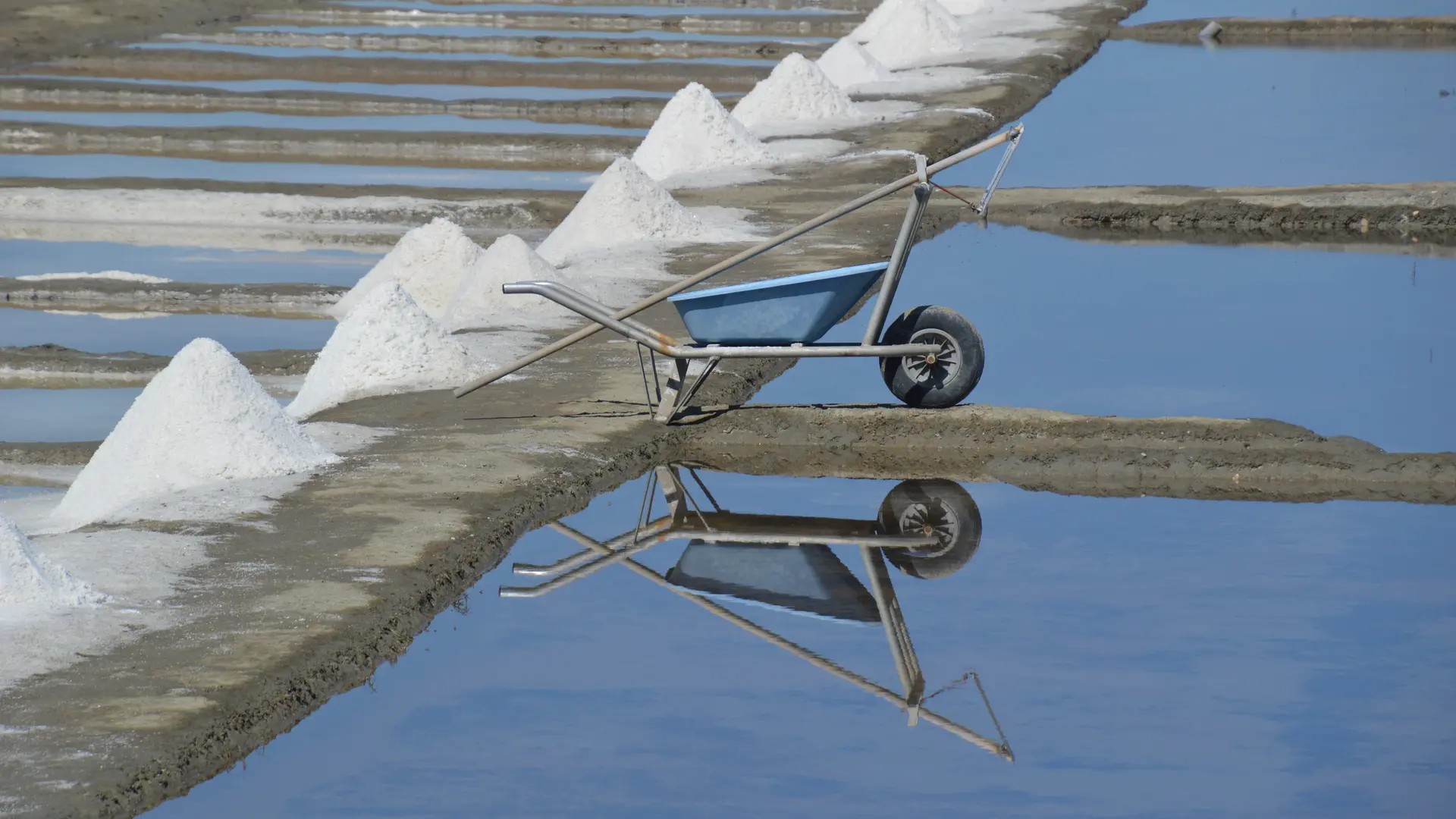 Die Salzgewinnung auf der Île de Ré, eine Institution