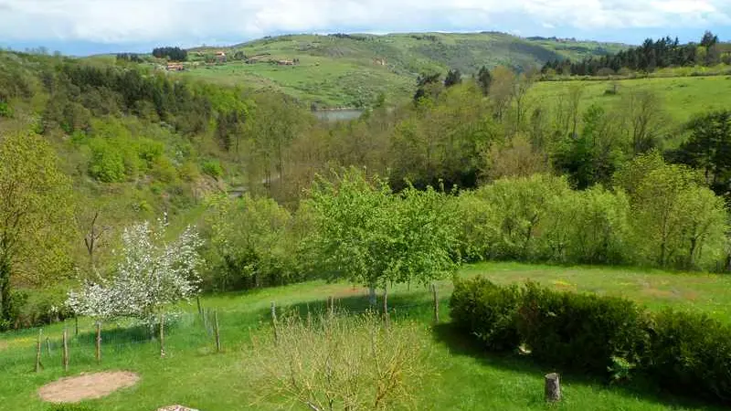 Jardin