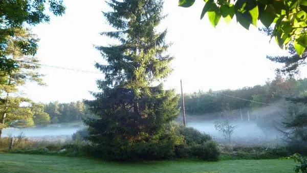 GITES DE CHANTEGRENOUILLE