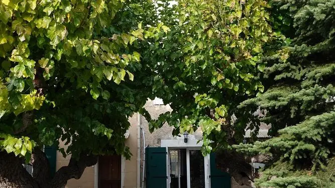 Cour arborée avec salon de jardin