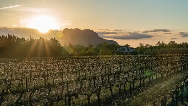 Vue Roche de Roquebrune