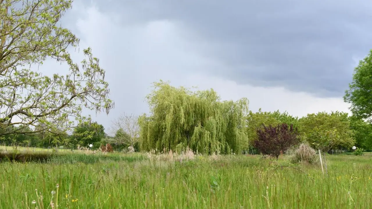 Saint Nizier le Désert