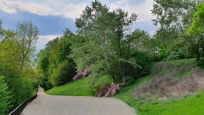 Parc départemental de L'Île-Saint-Denis