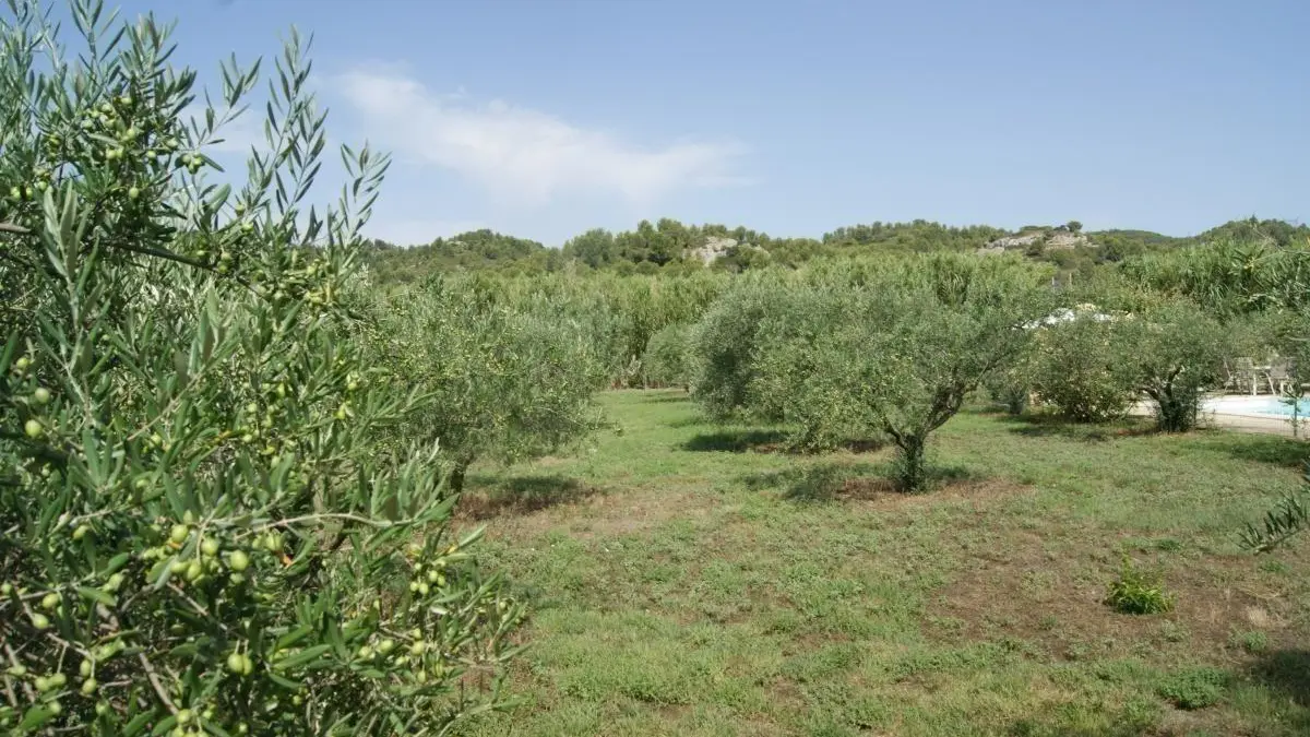 photo19