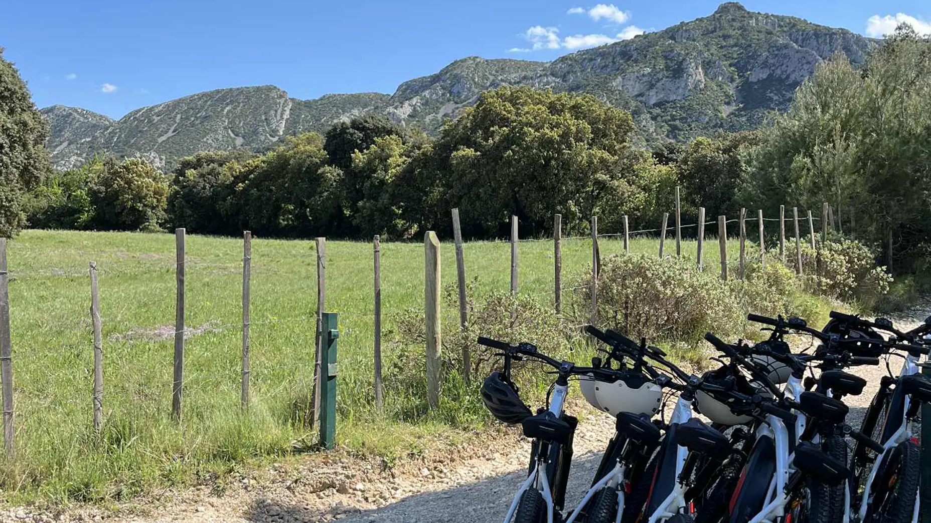 Terroir à vélo_Saint-Rémy-de-Provence