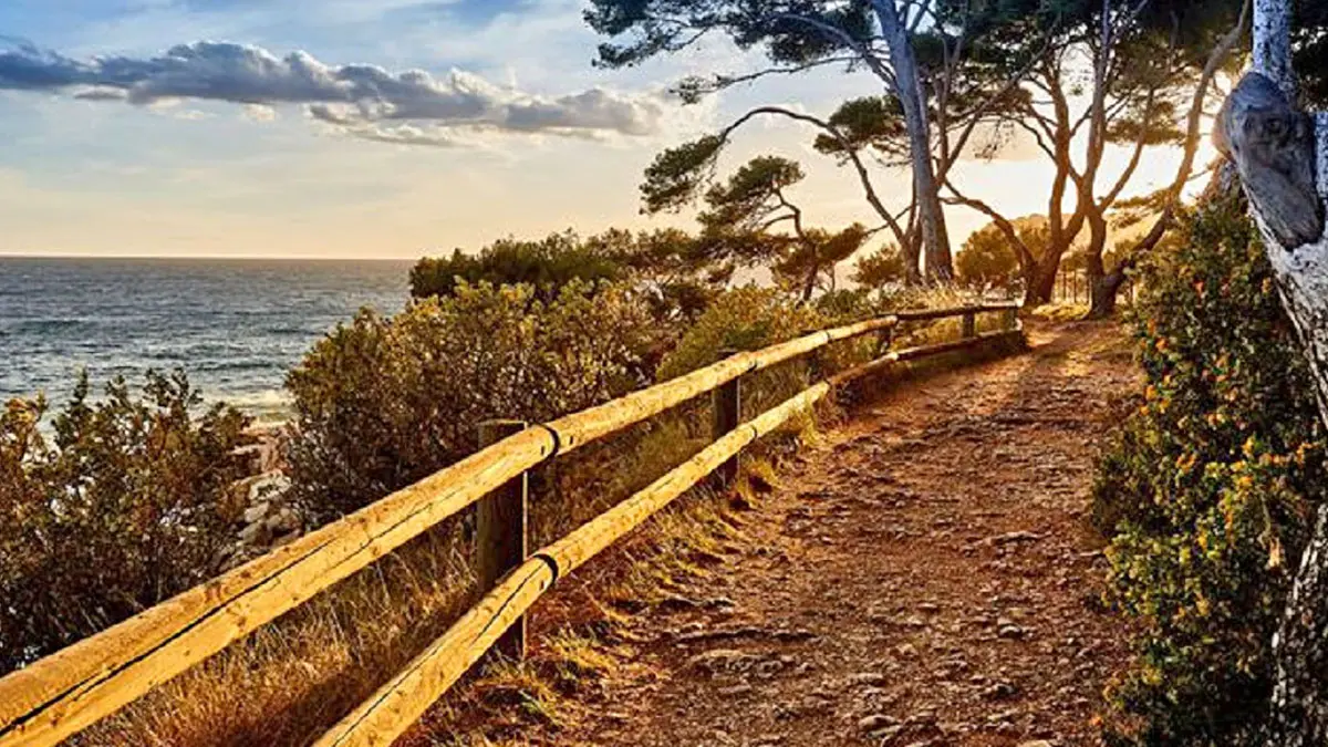 Sentier de randonnée