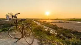 Bike ride
