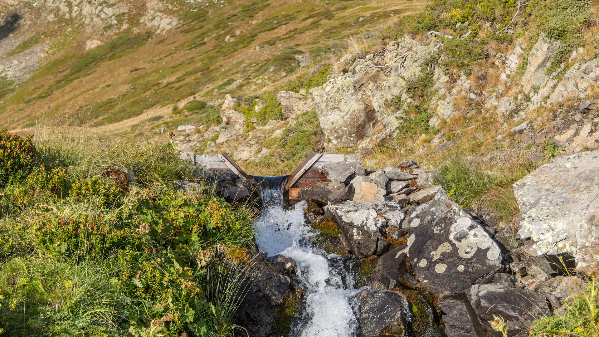 Pic Colombier par le Chardonnet