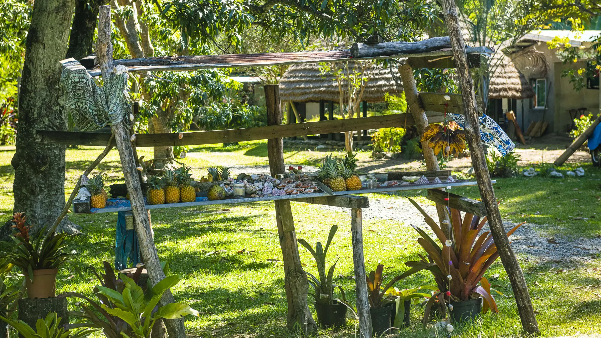 touho, stand bord de route, côte océanienne