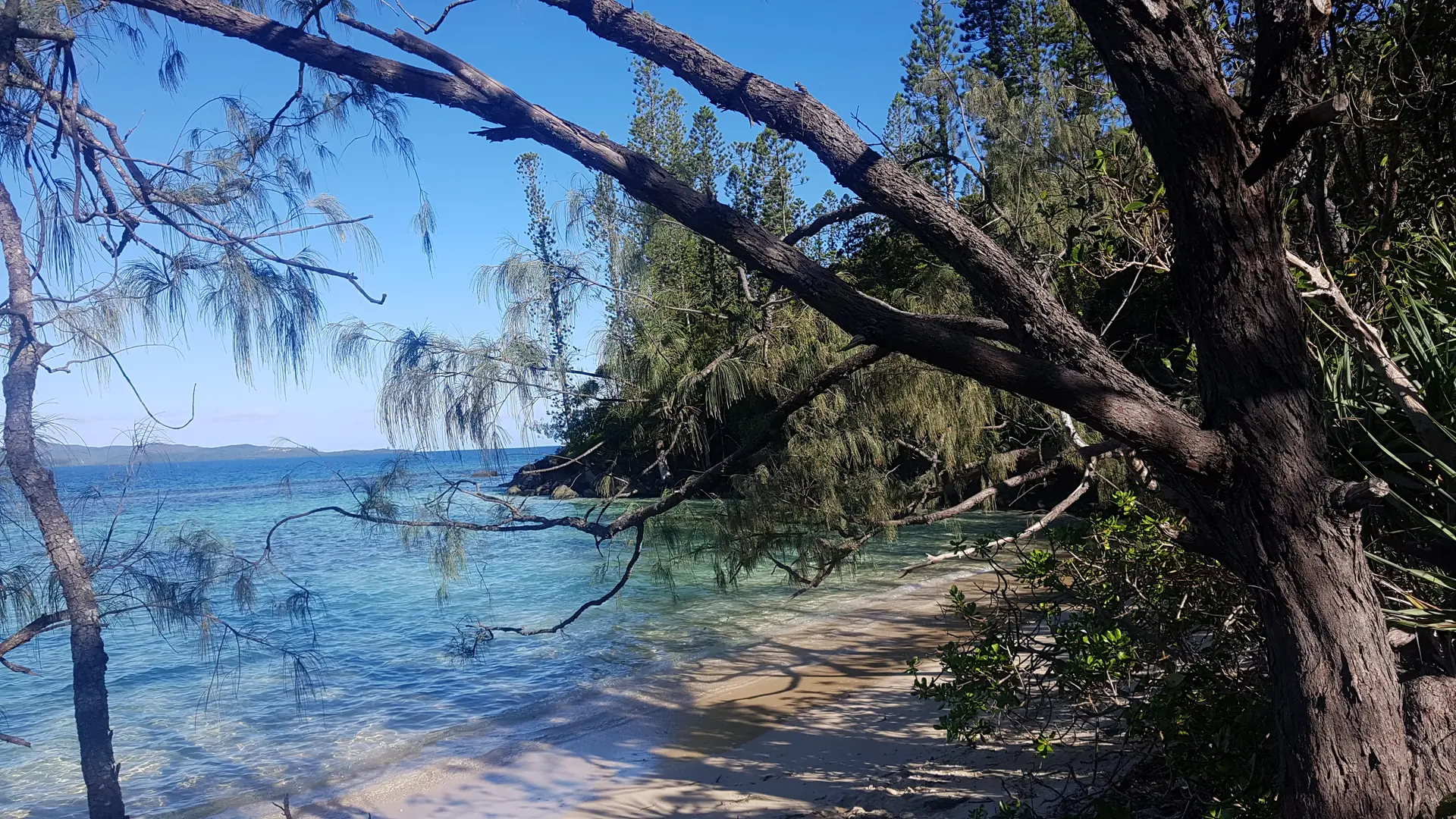 Une promenade bucolique, menant à une plage de sable blanc