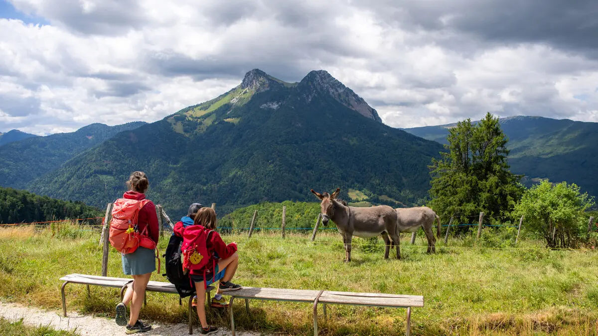 Vue depuis les Garins