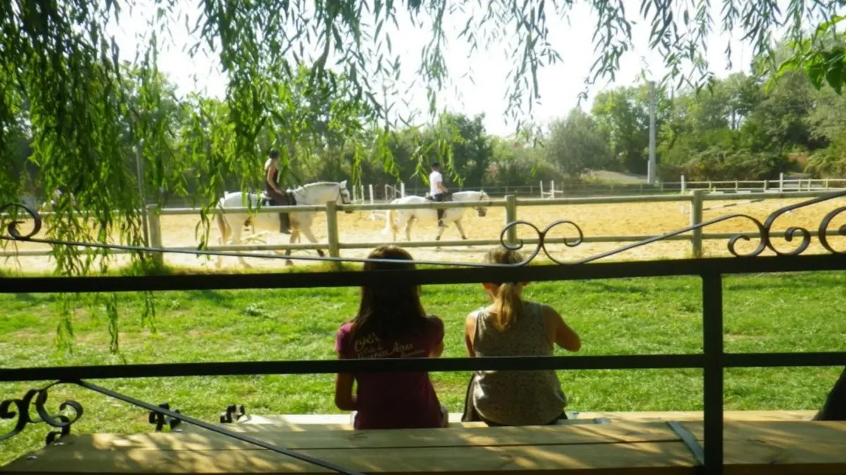 Centre Equestre Avignon