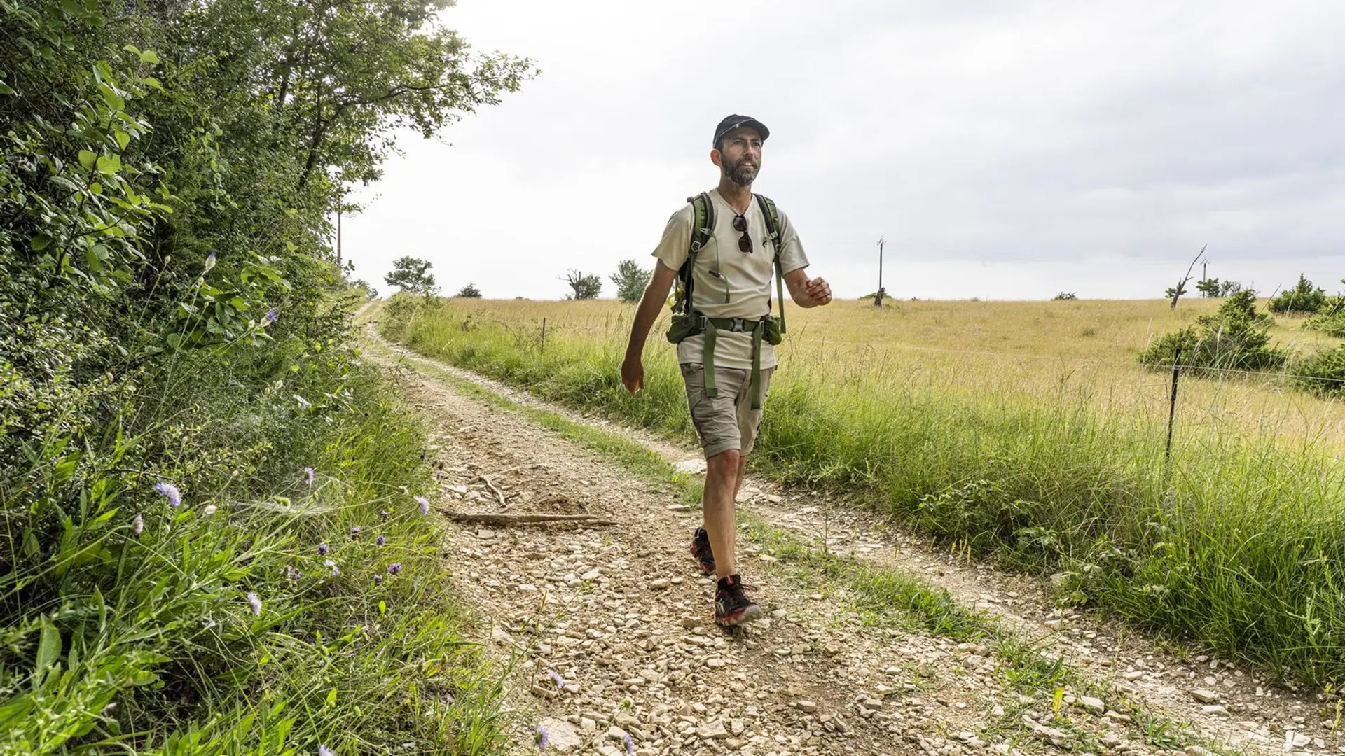 Sur les chemins de Limans
