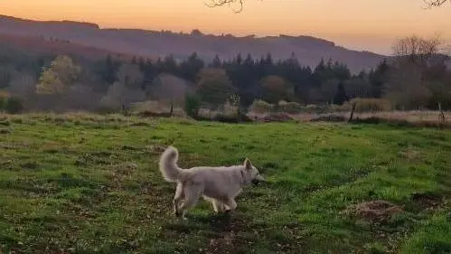 Un pur bonheur pour les amoureux de la nature