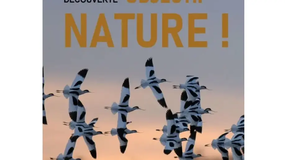 Sorties nature - Objectif Nature