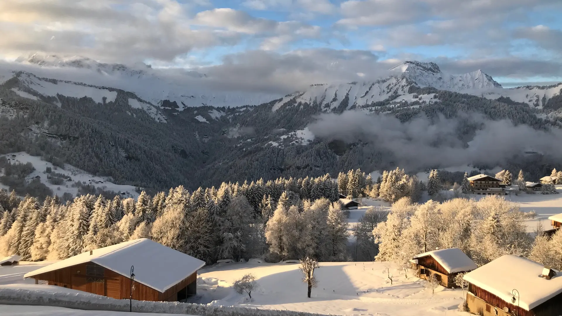 vue depuis salon