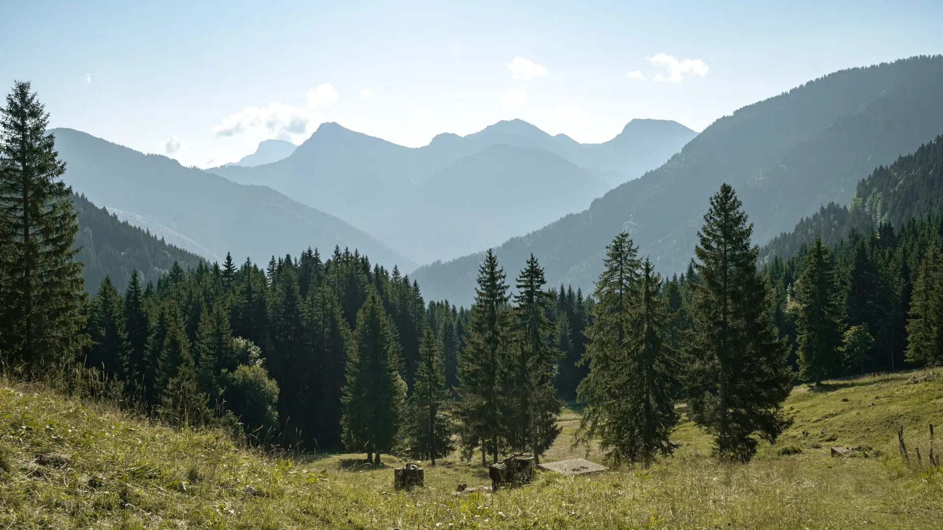 Vue sur les montagnes