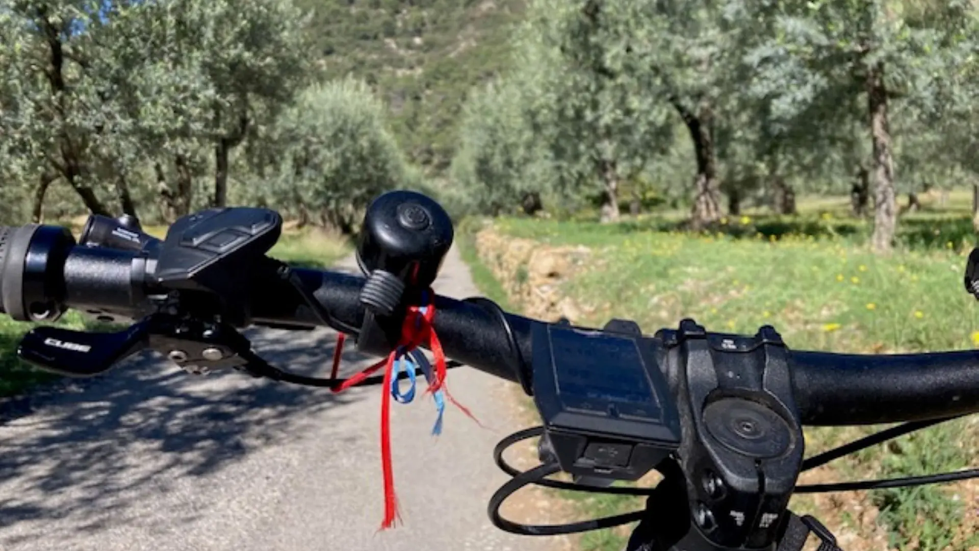 Au coeur d'un champs d'oliviers..