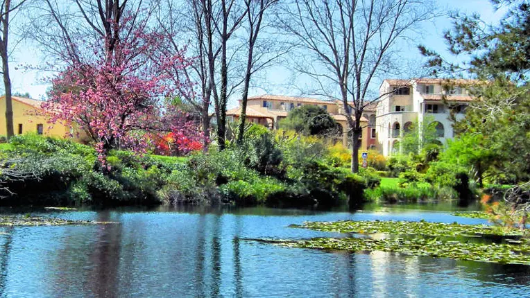 Appartement dans une résidence - La Coudoulière - Guillon Charles-Henri