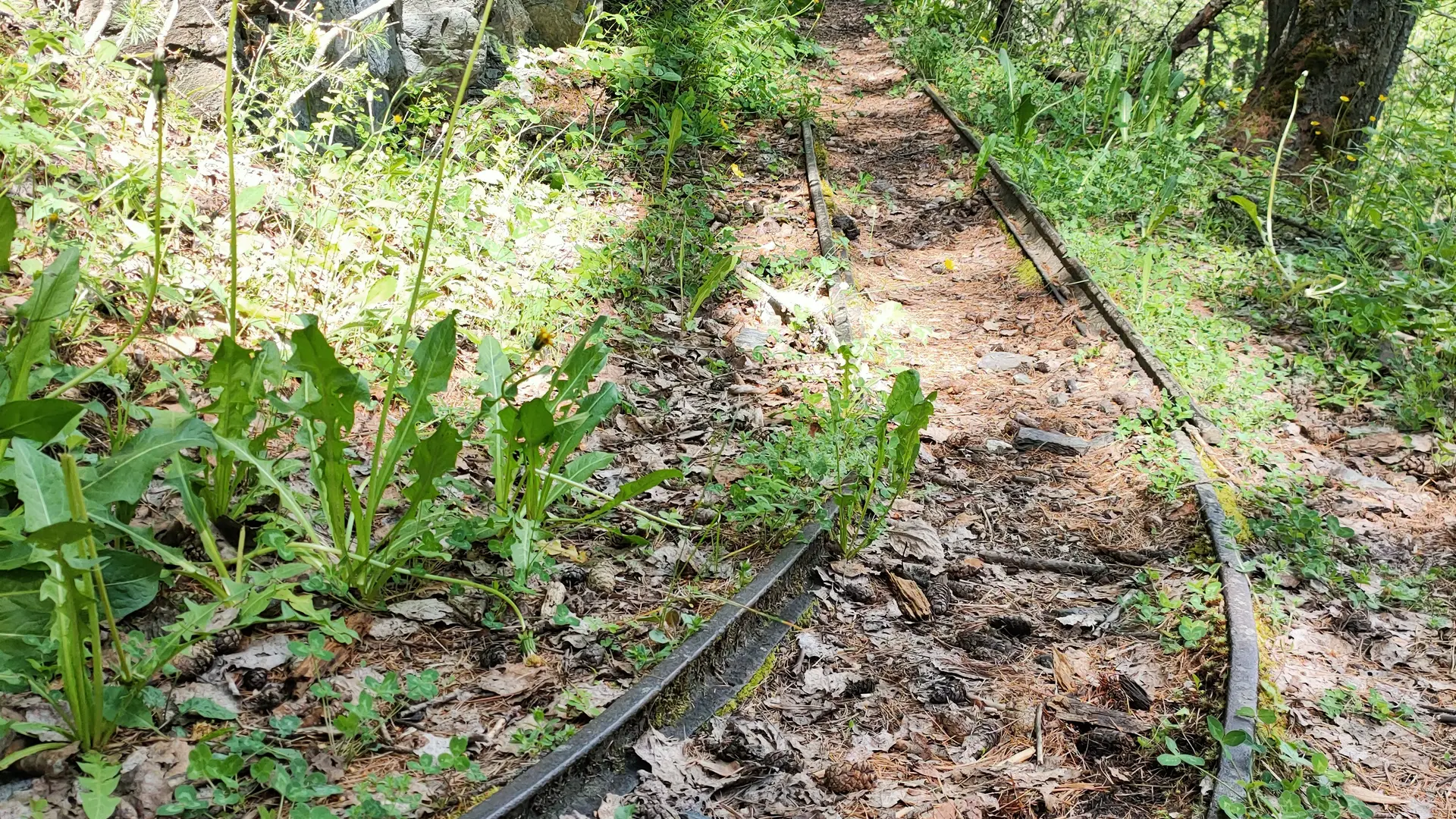 Sur le sentier des mineurs, on peut parfois apercevoir les anciens rails de wagonnets à charbon