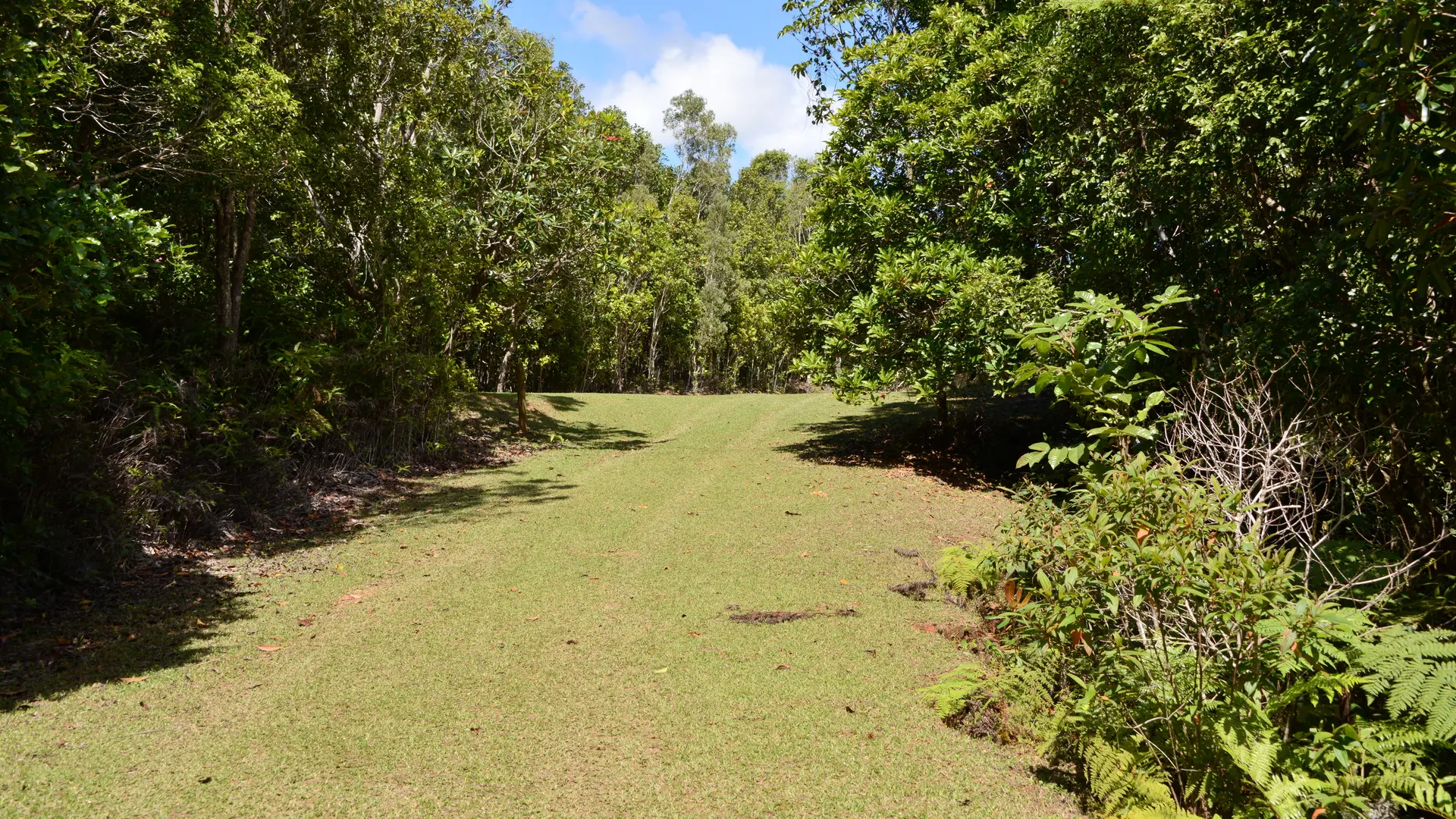 Sur le sentier du Grand Kaori