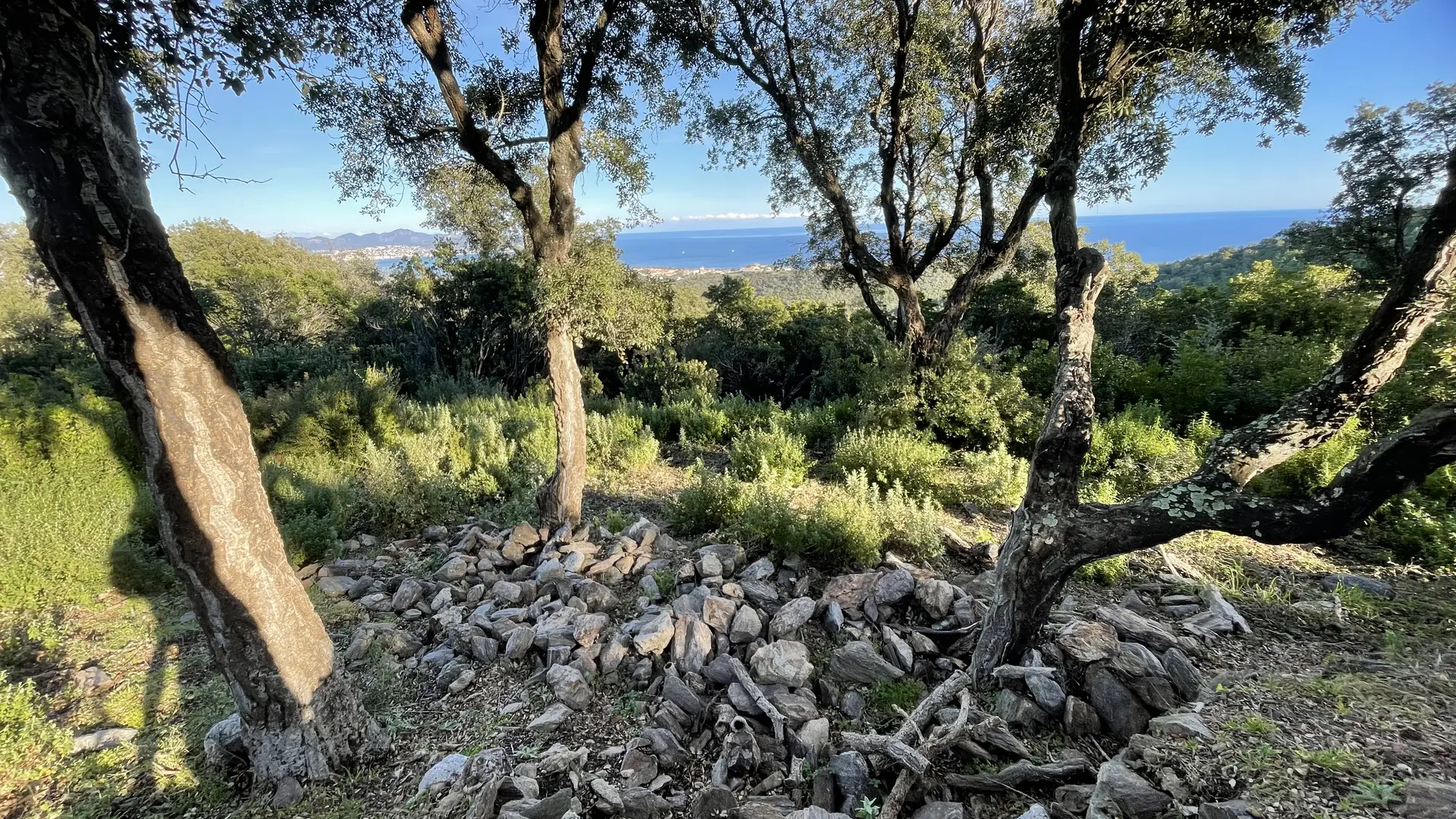 Ruines dolmens