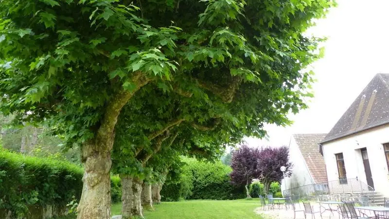 Gîte à ARFEUILLES dans l'ALLIER en AUVERGNE