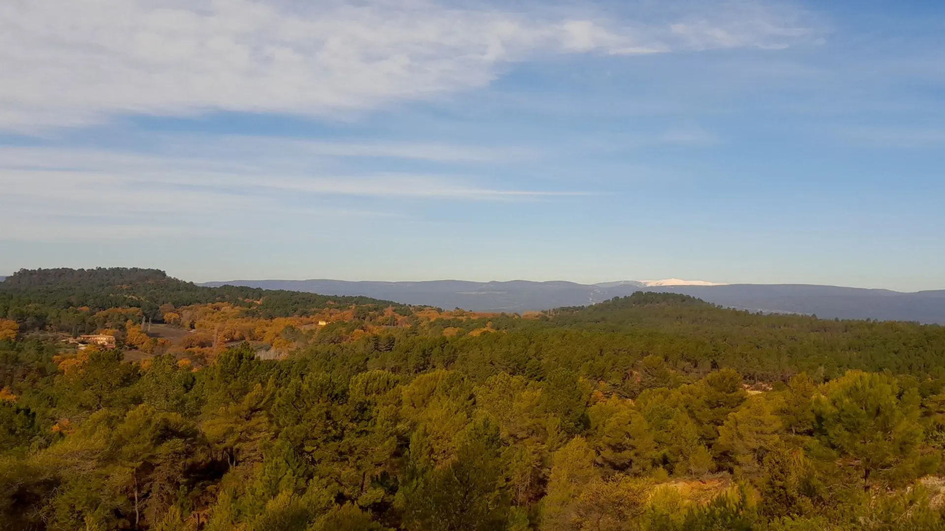 Bois de Saint Jean et Mont-Ventoux