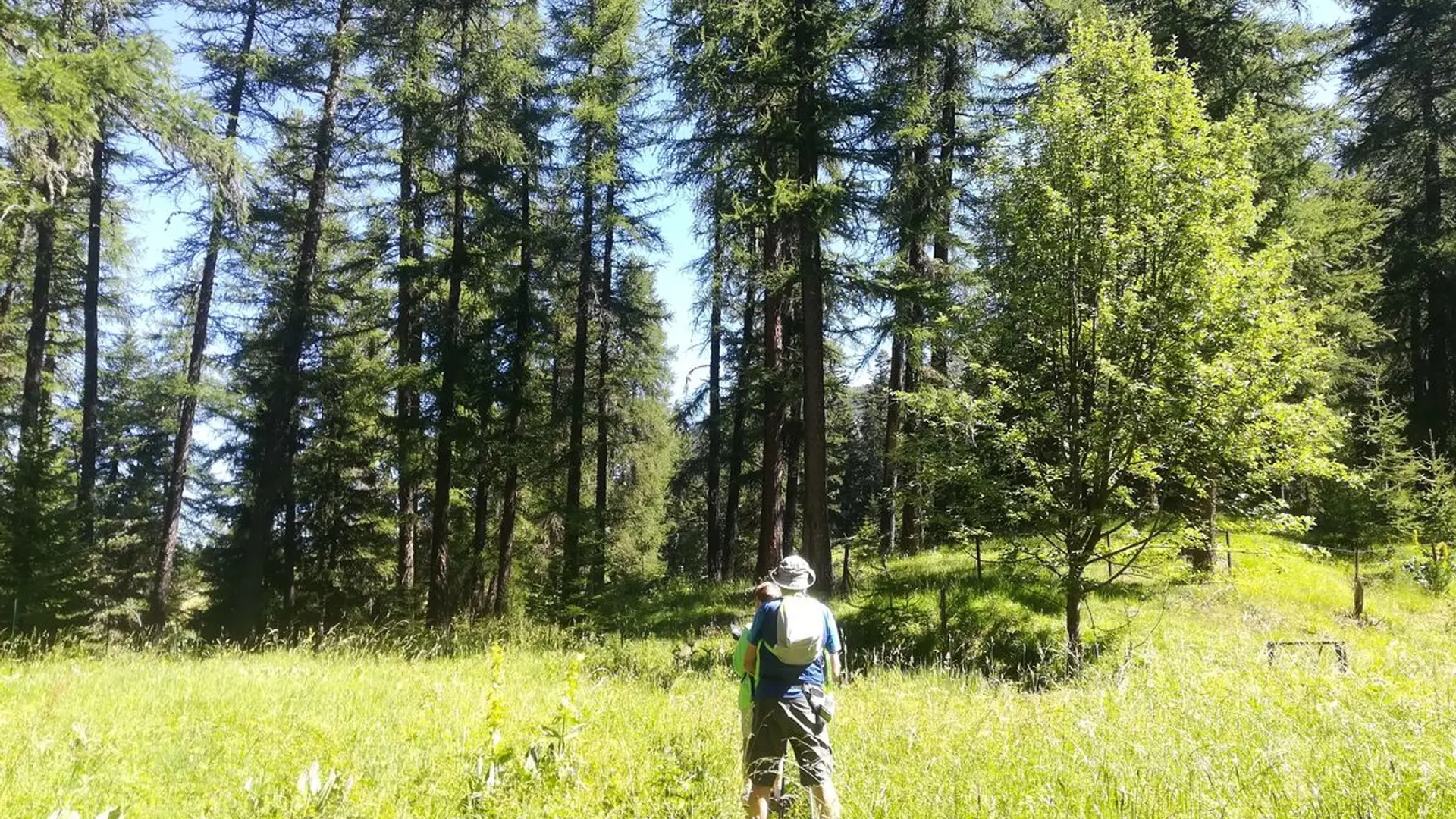 Randonneurs dans le Mélézin