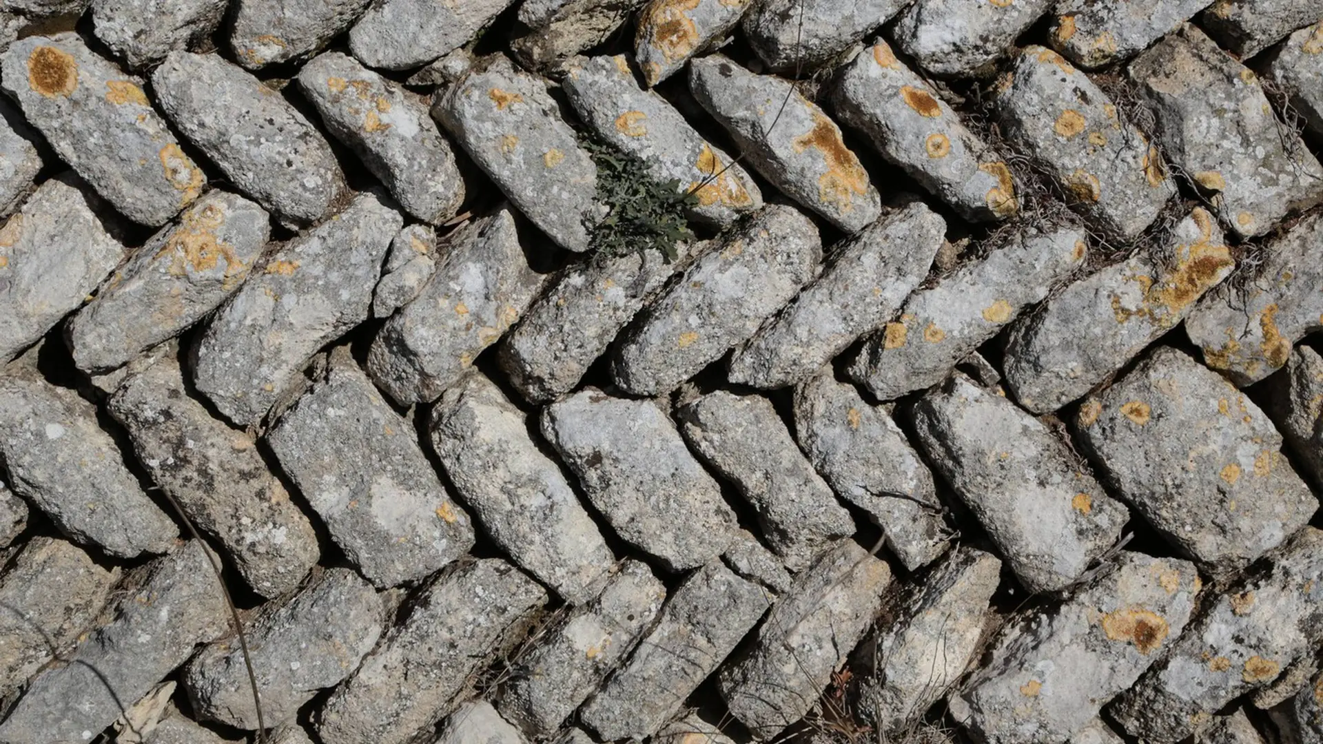 Mur en pierre sèche des Claparèdes