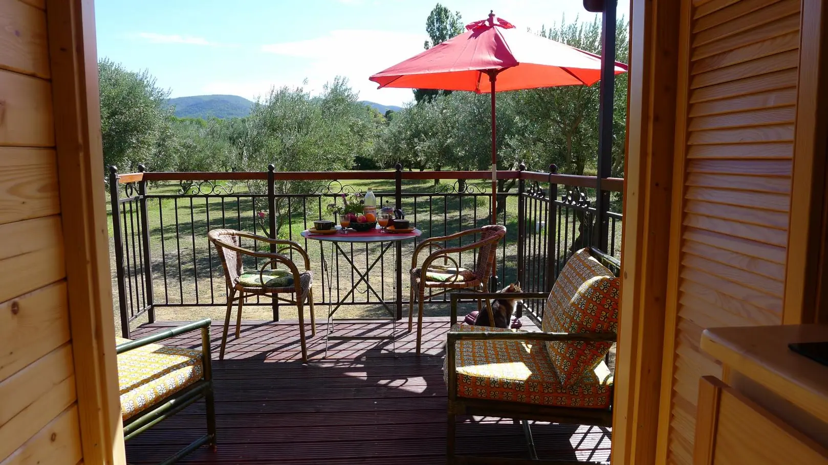 terrasse vue sur les oliviers