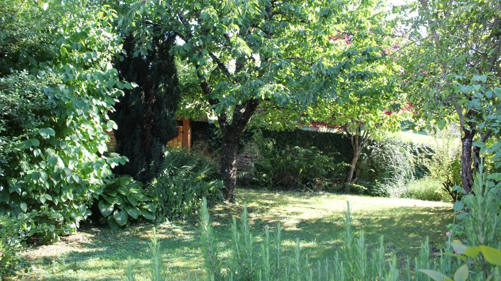 le jardin