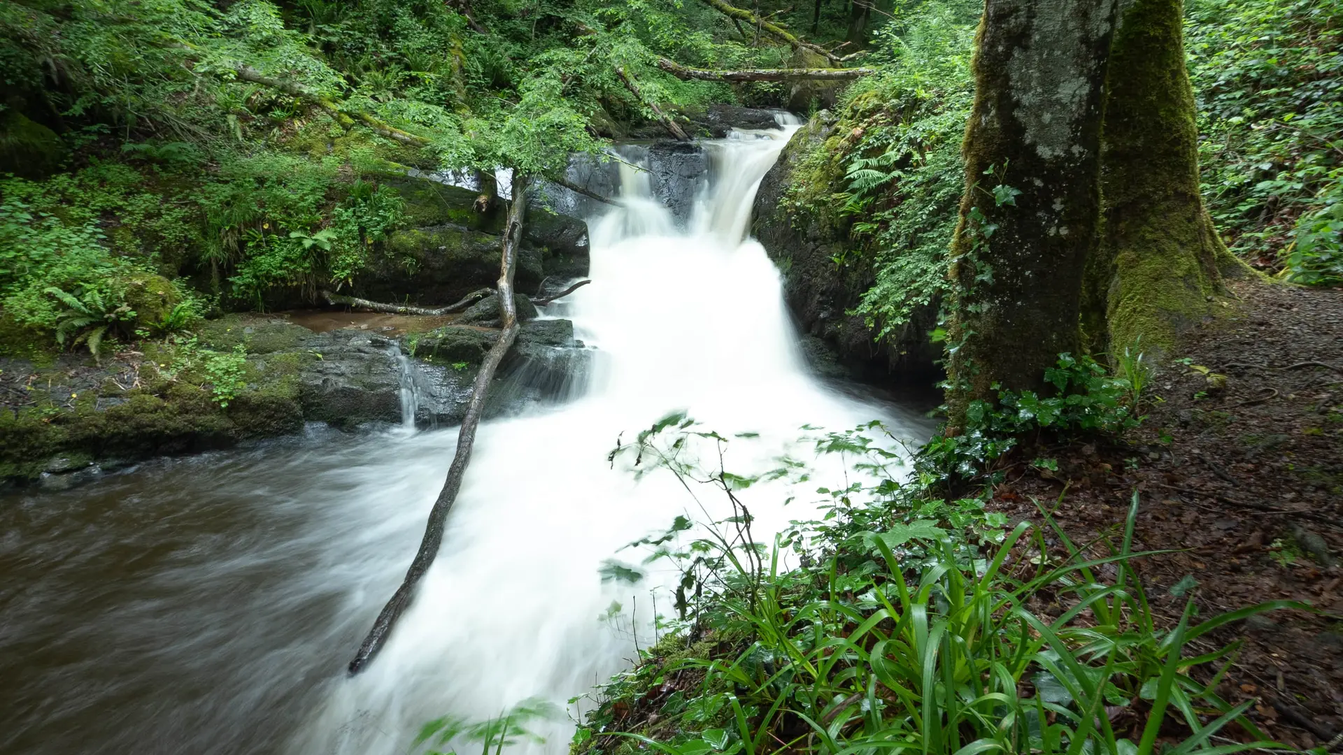 Le Sichon à Ferrières-sur-Sichon