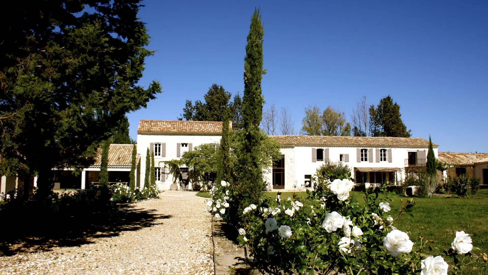 Grande bastide provençale en pierre, allée de cyprès et massifs de roses blanches.