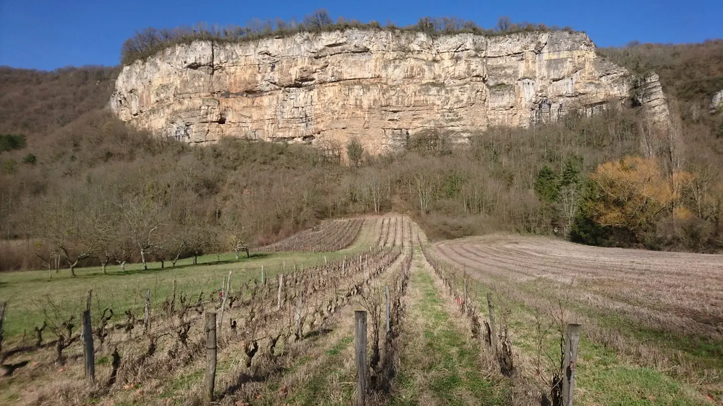 Domaine de la Pouponne