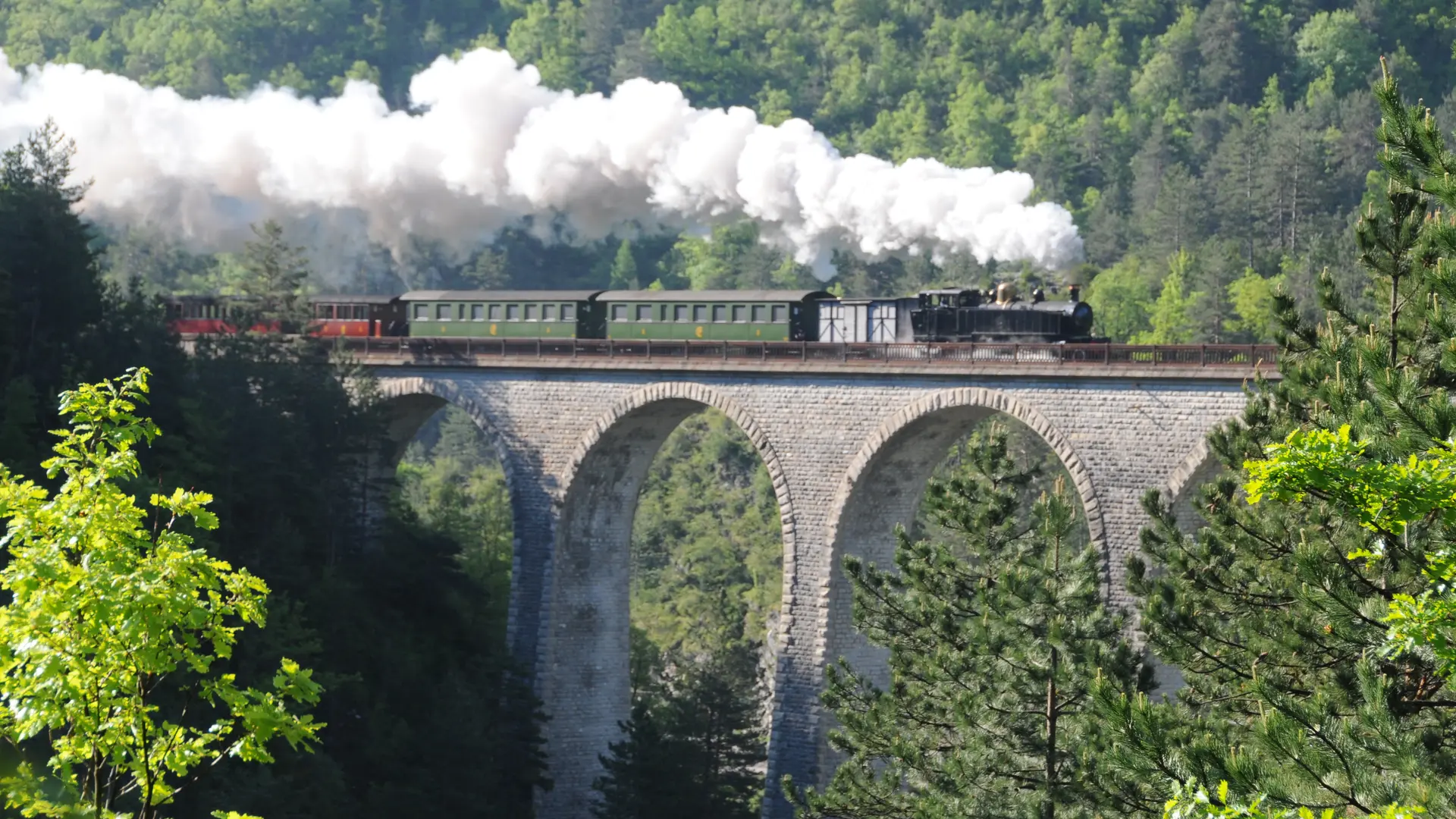 Le Train des pignes à vapeur