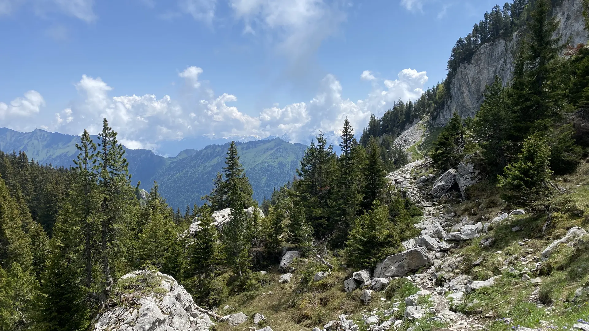 paysage