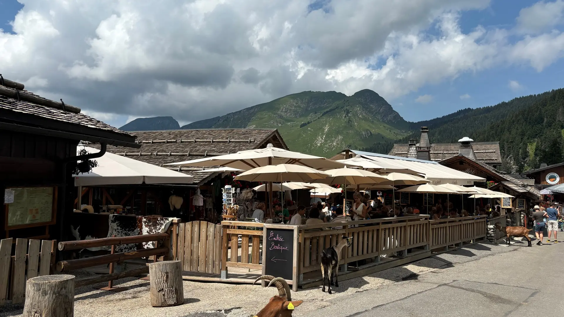 Terrasse été