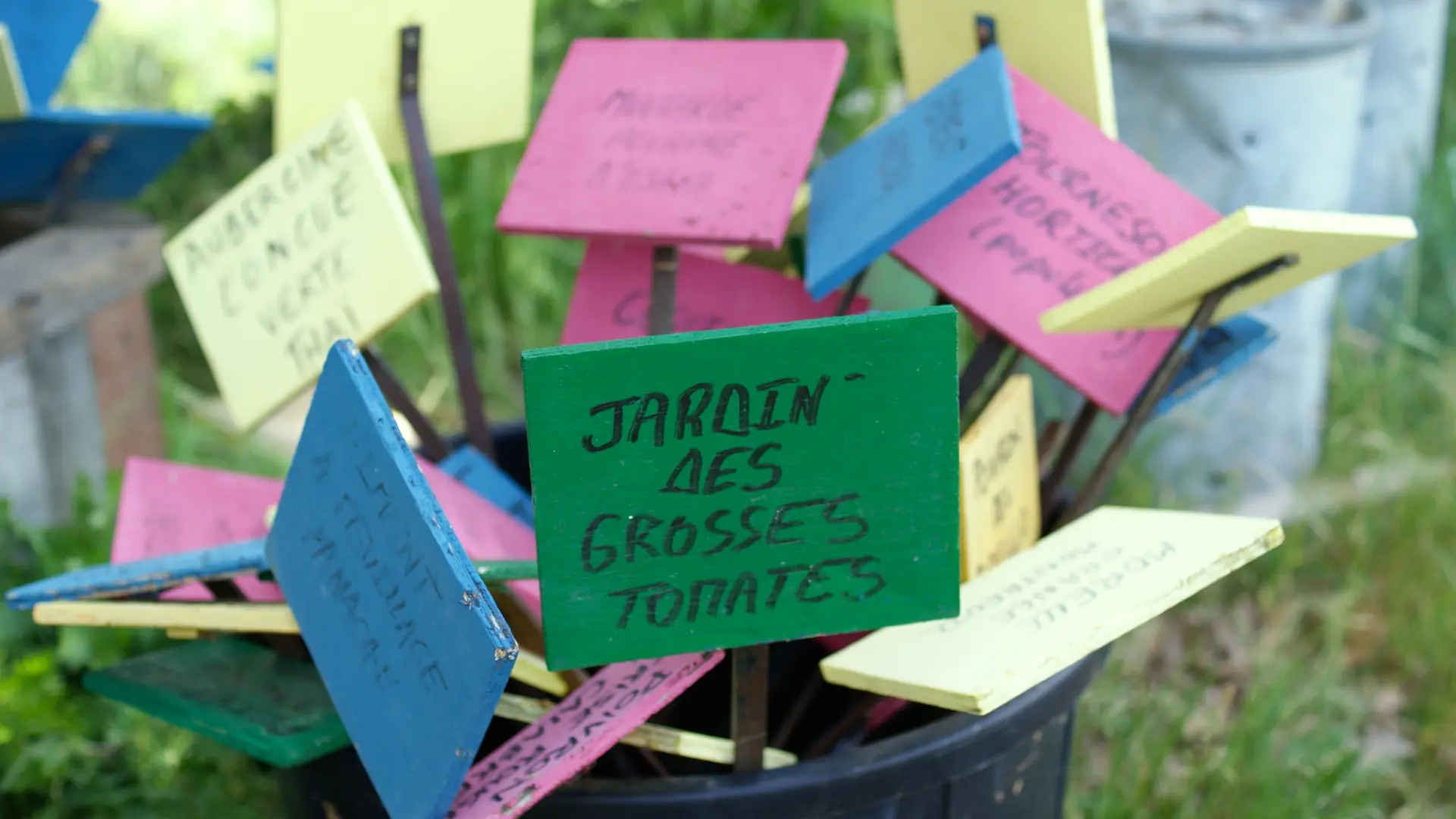 Le potager d'un curieux