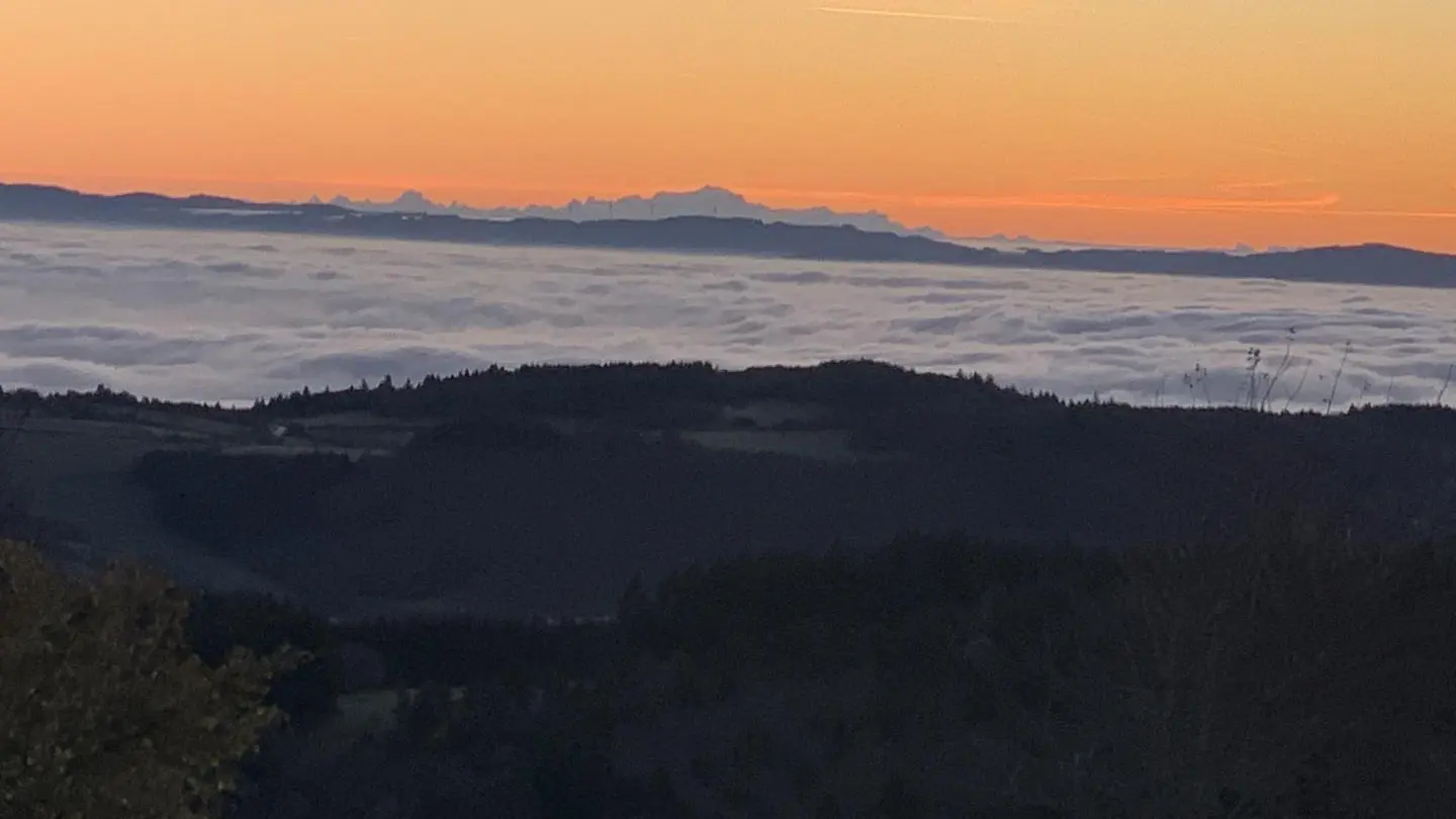 A 15 mn de voiture sur le plateau de Mont Loup (1000 M d'altitude) une vue sur la mer de nuage qui recouvre la plaine roannaise et sur le fond le Mont Blanc.